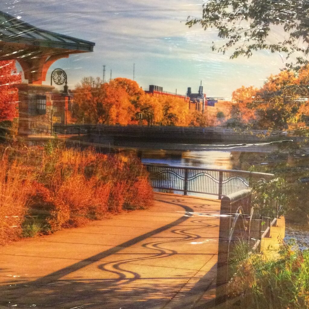 Lloyd Fleig Canvas Print - Summer Shadows 16x20