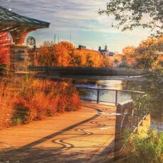 Lloyd Fleig Canvas Print - Summer Shadows 16x20