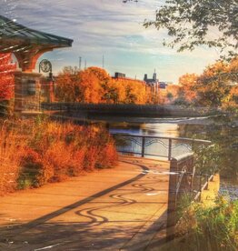 Lloyd Fleig Canvas Print - Summer Shadows 16x20