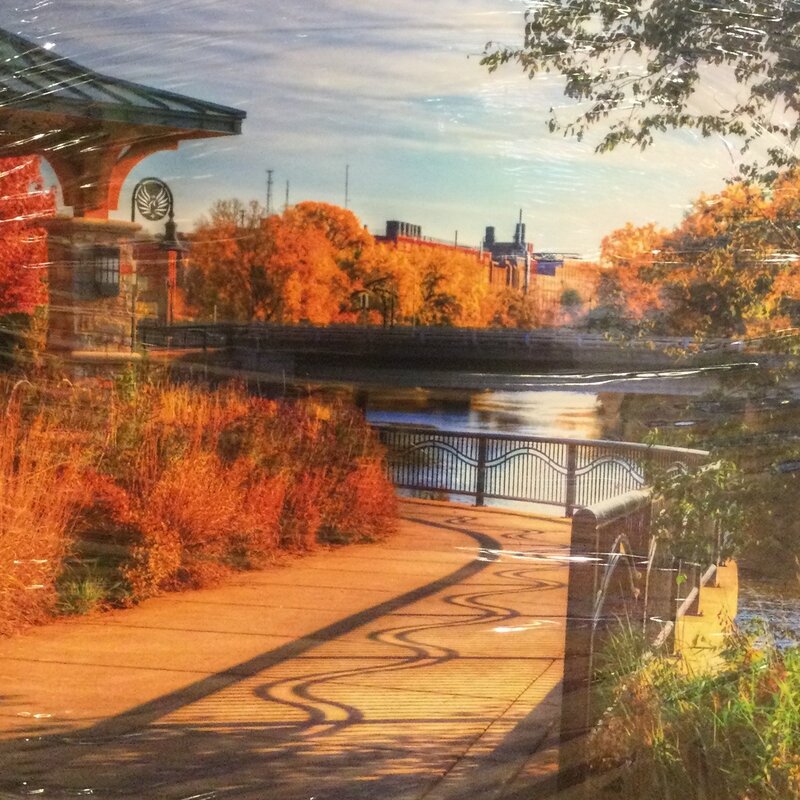 Lloyd Fleig Canvas Print - Summer Shadows 16x20