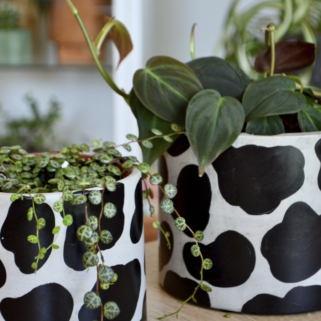 LindaMakess Handpainted Cow Planter 6 in