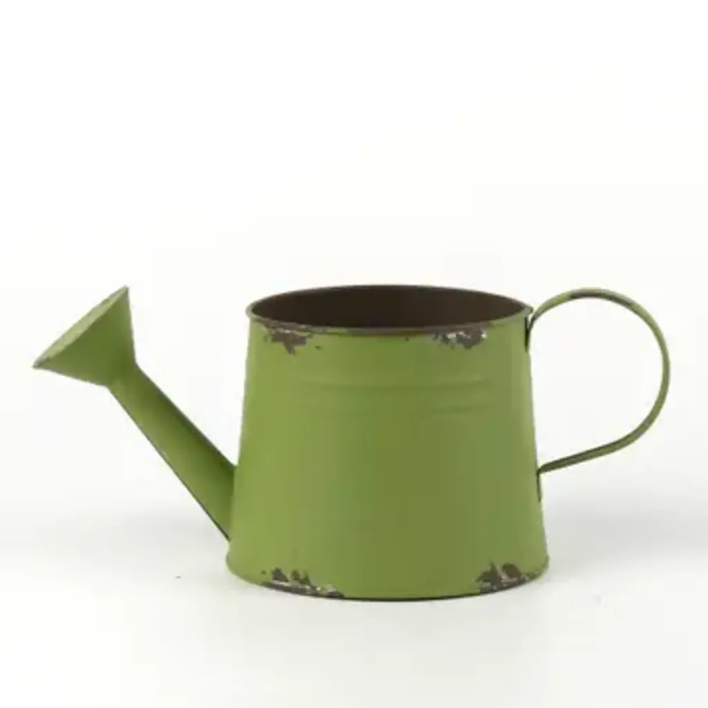 Home Kreation By KK Olive Green Oval Watering Can Planter