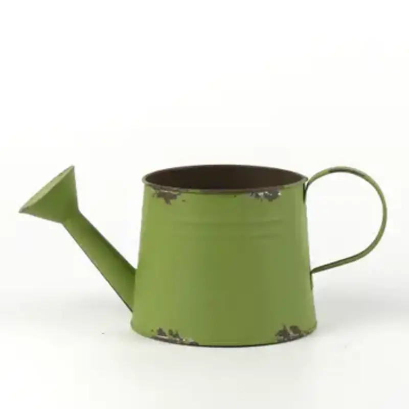 Home Kreation By KK Olive Green Oval Watering Can Planter