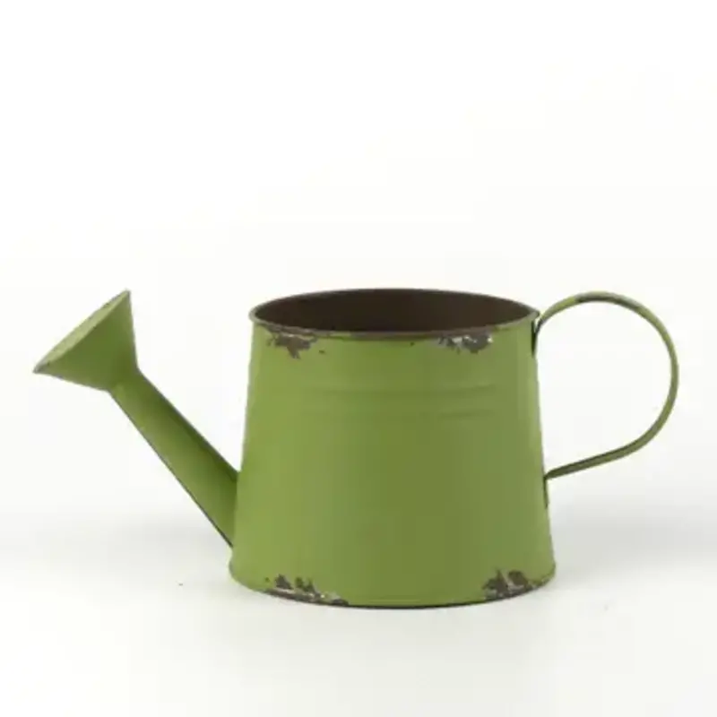Olive Green Oval Watering Can Planter