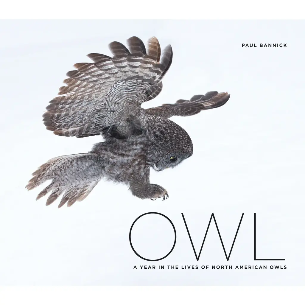 Bannick Paul Owl: A Year in the Lives of North American Owls