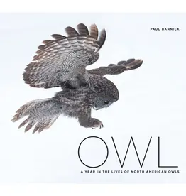 Mountaineers Books Owl: A Year in the Lives of North American Owls