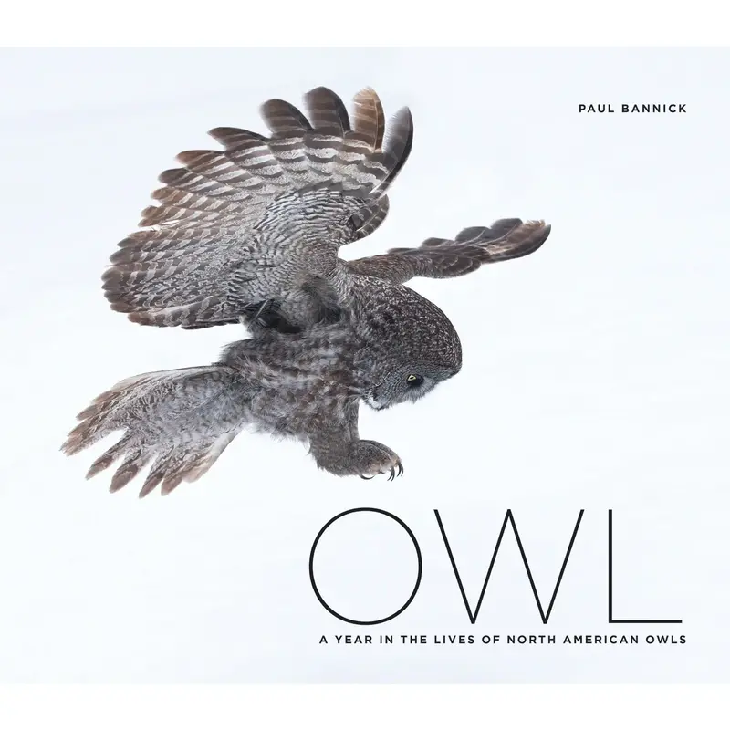 Mountaineers Books Owl: A Year in the Lives of North American Owls