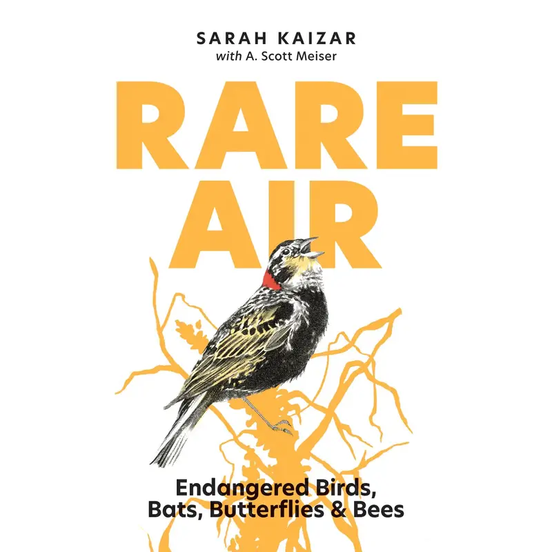 Sarah Kaizar Rare Air: Endangered Birds, Bats, Butterflies & Bees