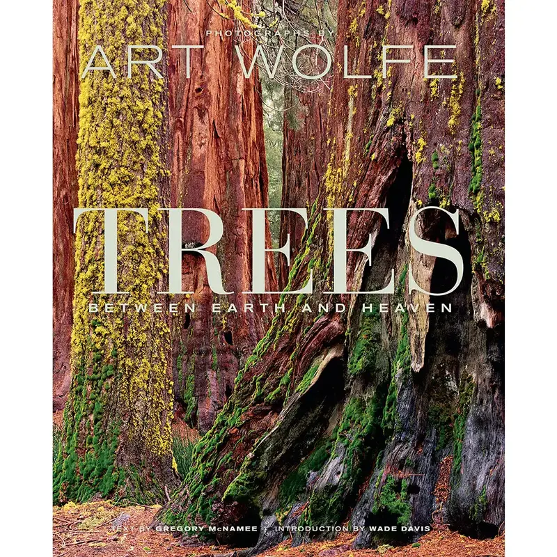 Wolfe Art Trees: Between Earth and Heaven