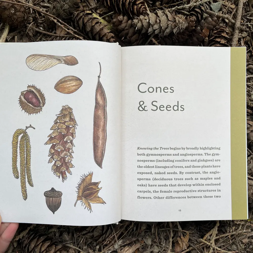 Knowing the Trees: Discover the Forest from Seed To Snag