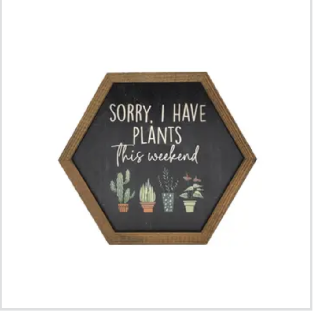Driftless Studios Hexagon Garden Sign - Sorry, I have Plants