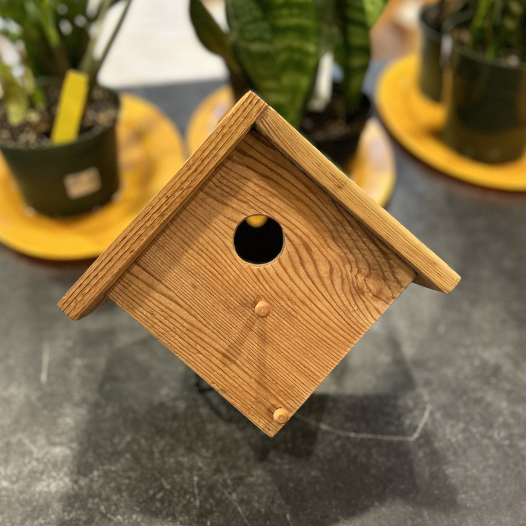 Plain Wood Bird House