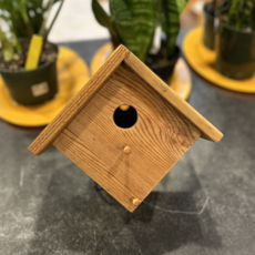 Plain Wood Bird House