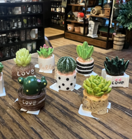 Maddie Branco Mini Clay Succulent