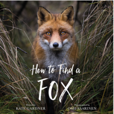 How to Find a Fox