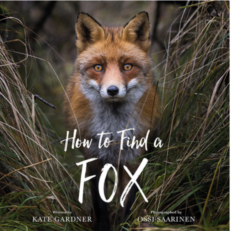 How to Find a Fox