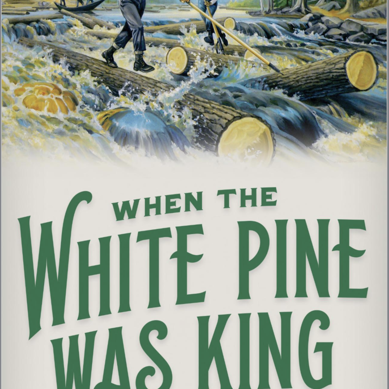 Jerry Apps When White Pine was King: A History of Lumberjacks, Log Drives, and Sawdust Cities in Wisconsin
