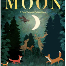 Moon: A Peek-Through Picture Book (Small Board)