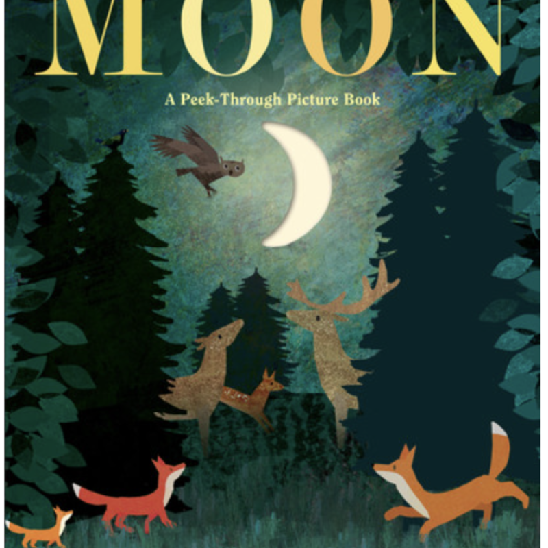 Teekentrup Britta Moon: A Peek-Through Picture Book (Small Board)