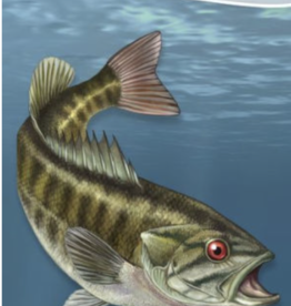 Dave Bosanko Fish of the Midwest: Your Way to Easily Identify Fish