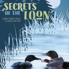 Salas Laura Purdie Secrets of the Loon