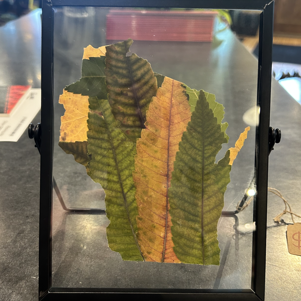 Wood Pressed Leaf Frame (Wisconsin) - Large