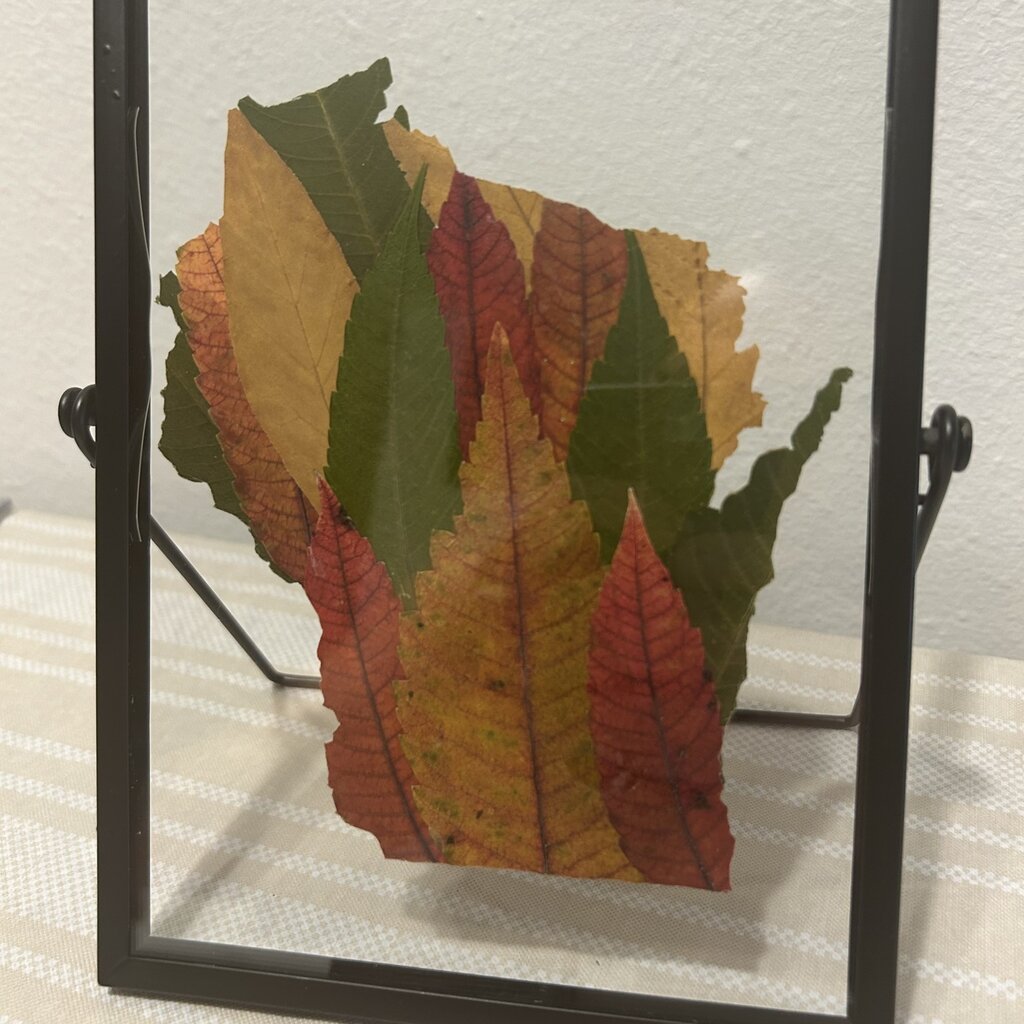 Wood Pressed Leaf Frame (Wisconsin) - Large