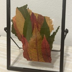 Zachariah Mumm Pressed Leaf Frame Glass (Wisconsin) - Large