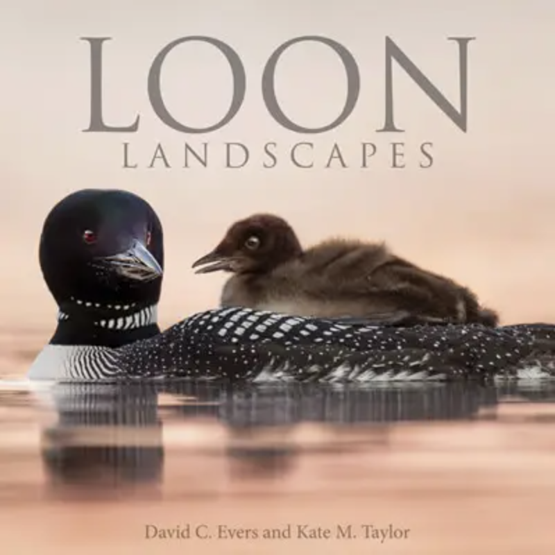 Willow Creek Press Loon Landscapes - Hardcover
