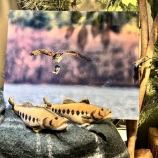 Bird Fishing Metal Print (16x20)