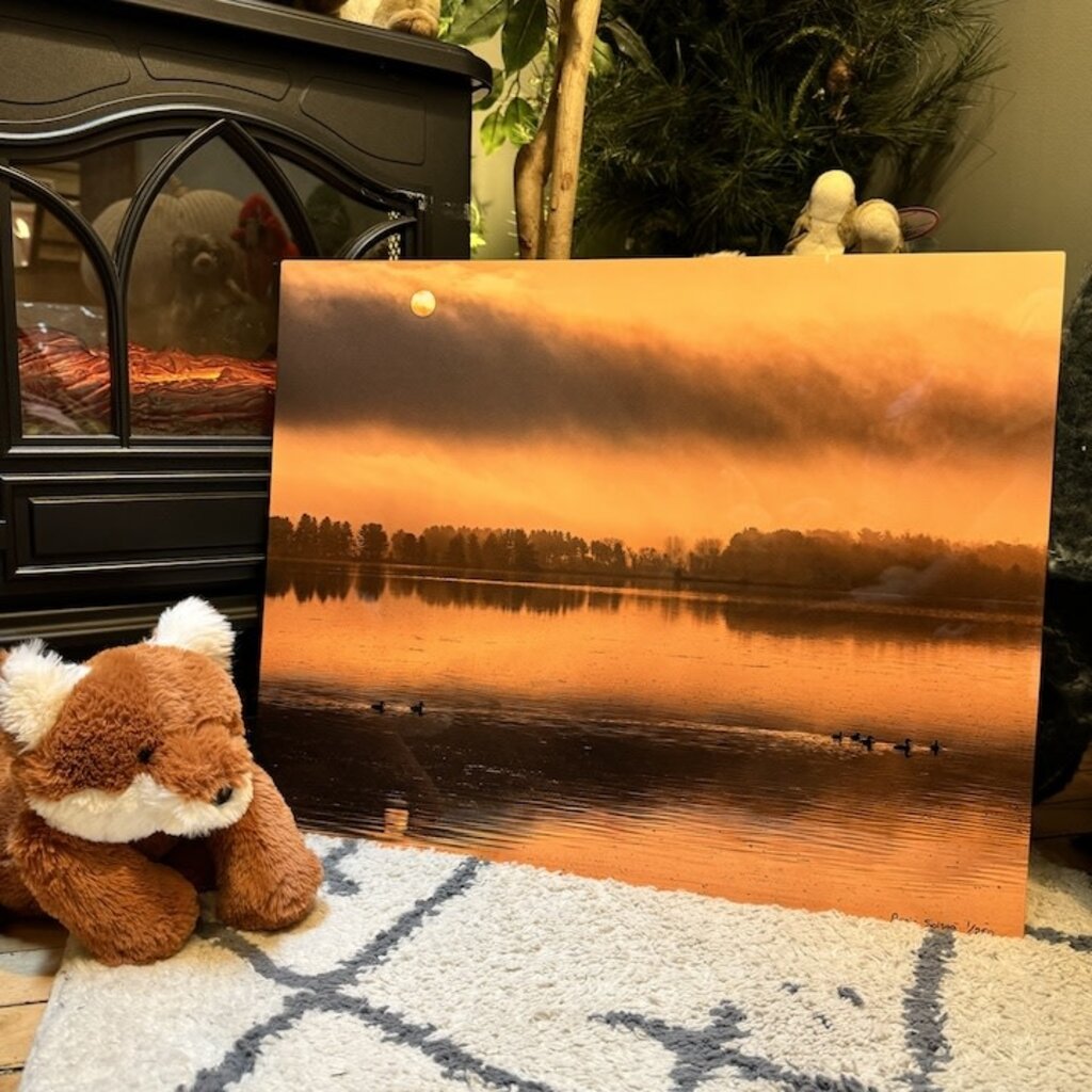 Sunset Reflections Metal Print (16x20)