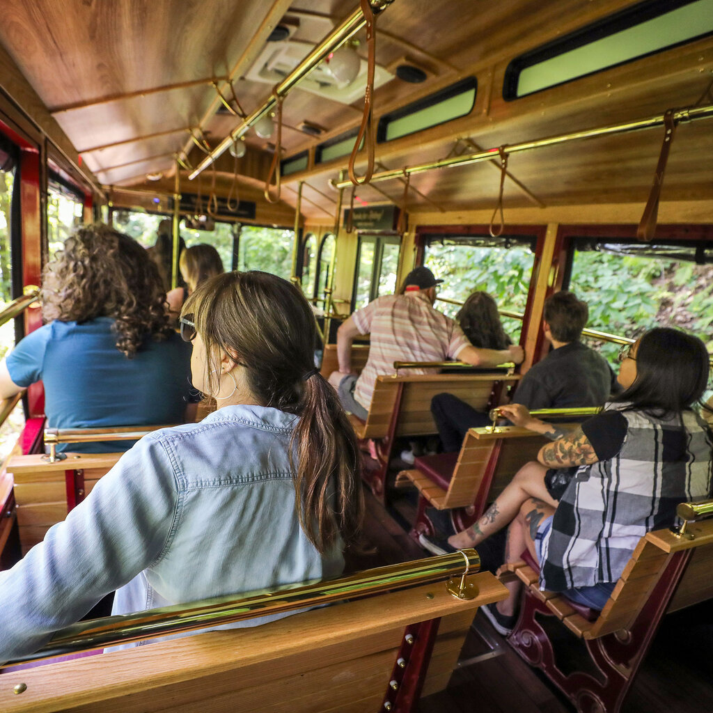 Volume One Chippewa River Trolley: Gift Experience $25, $50, $100