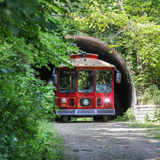 Volume One Chippewa River Trolley: Gift Experience $25, $50, $100