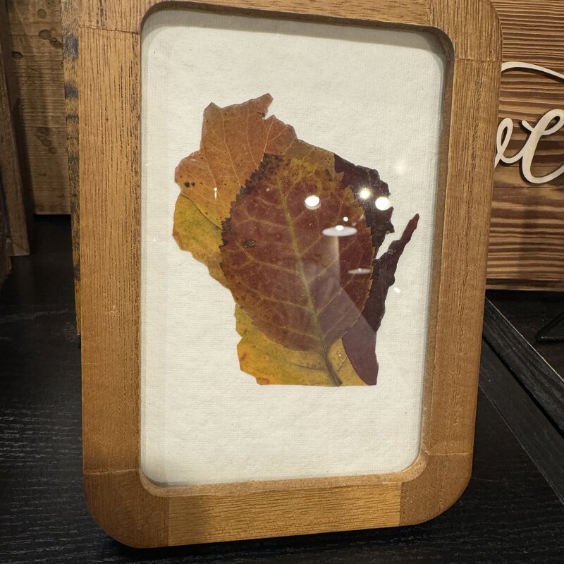 Zachariah Mumm Wood Pressed Leaf Wisconsin Canvas - Large