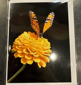 Lloyd Fleig Greeting Card - Monarch