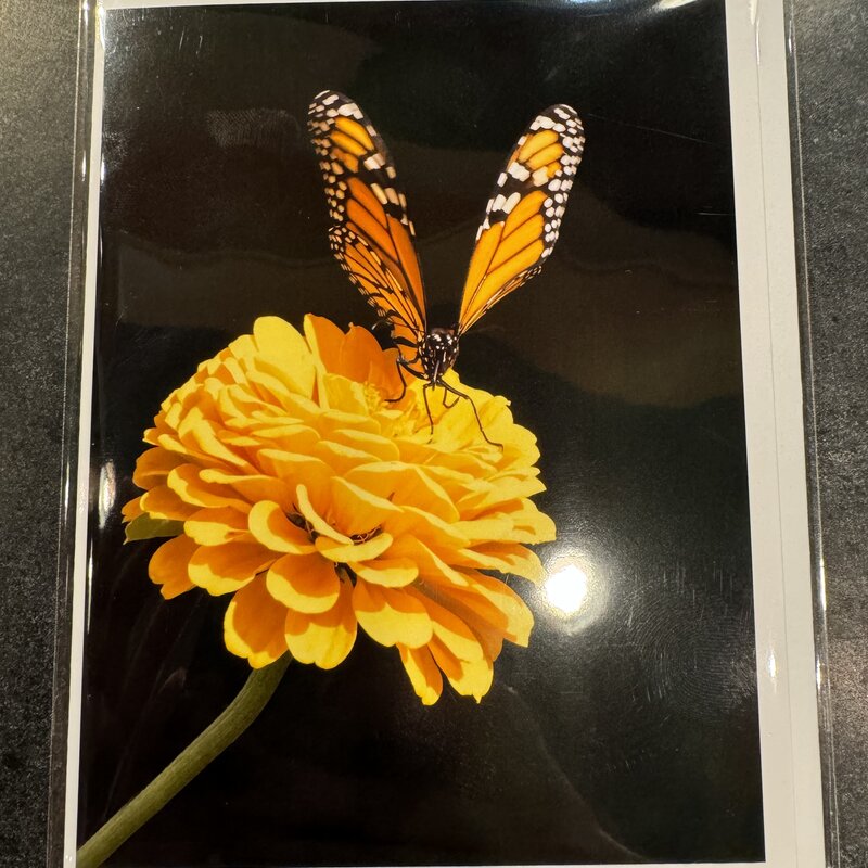 Lloyd Fleig Greeting Card - Monarch