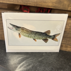 Amy Beidleman Tiger Musky Trout Greeting Card