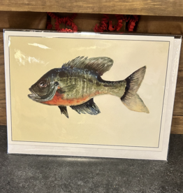 Amy Beidleman Blue Gill Greeting Card