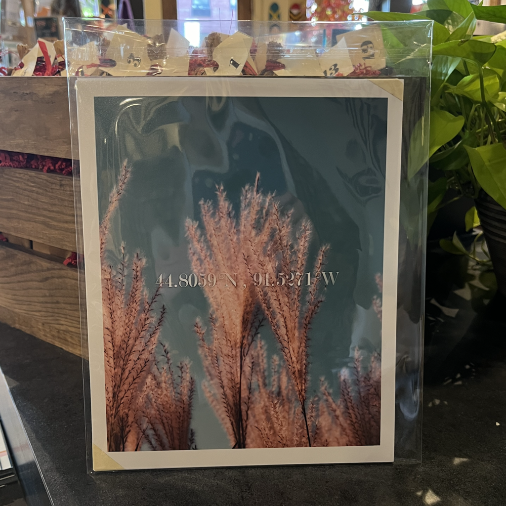 Eau Claire Fall Coordinates Print 8x10