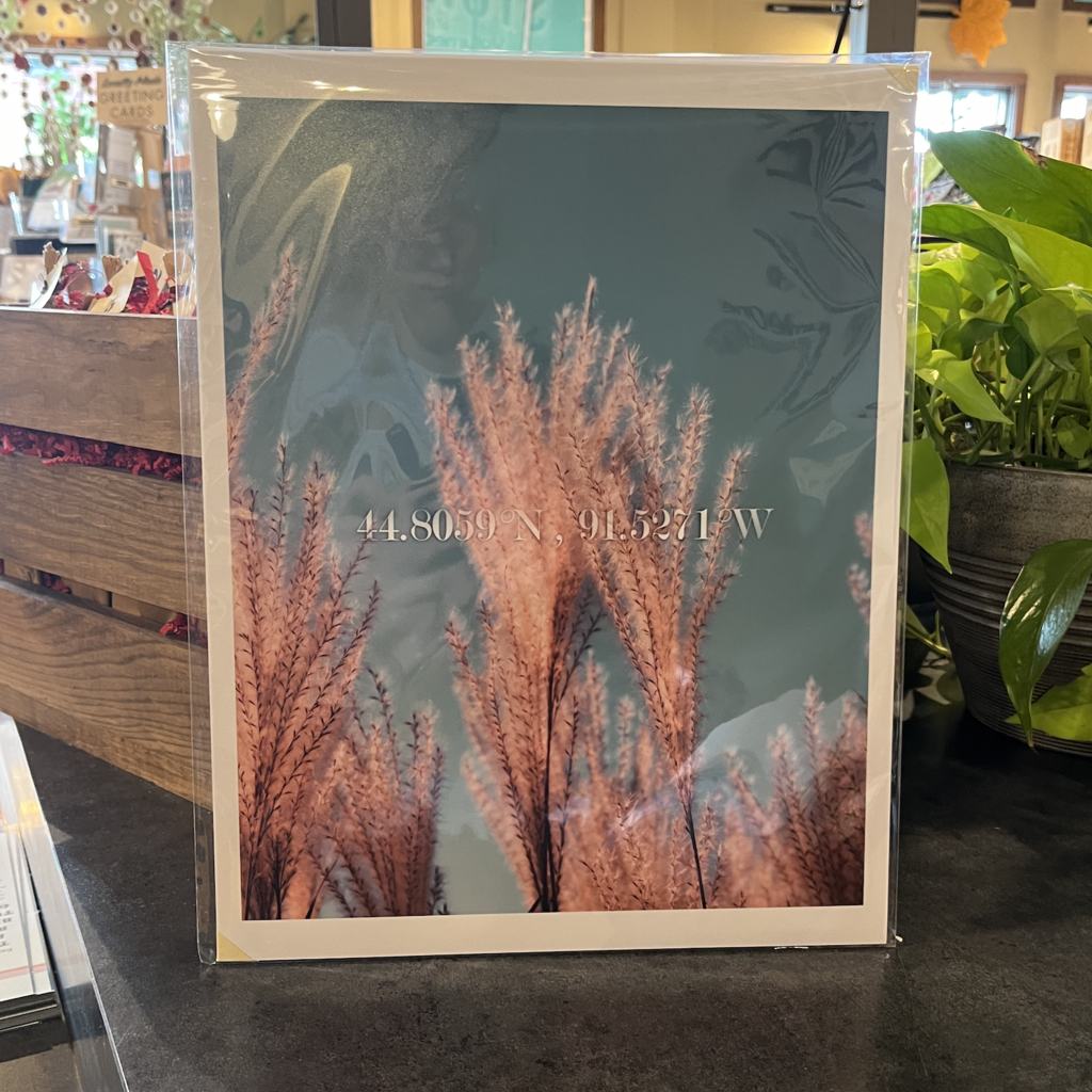 Eau Claire Fall Coordinates Print 11x14