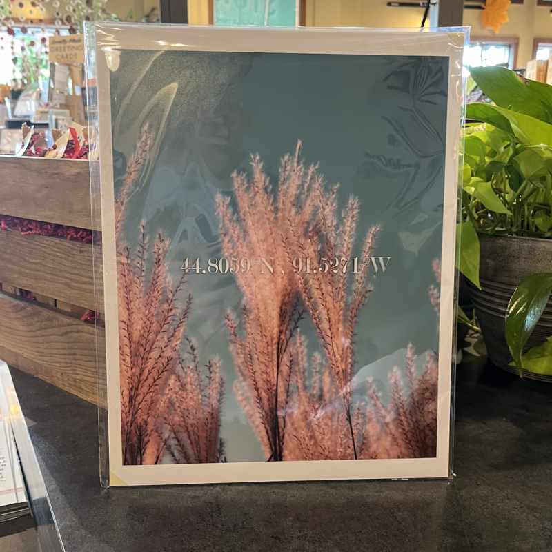 Eau Claire Fall Coordinates Print 11x14