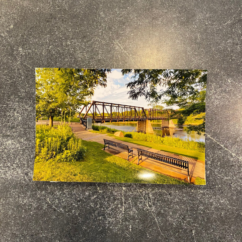 Lloyd Fleig Postcard - Summer Shadows