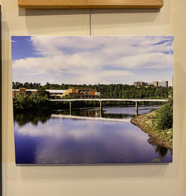 Lloyd Fleig Canvas Print - UWEC 16x20