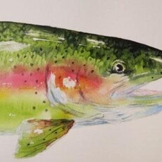 Amy Beidleman Portrait of Rainbow Trout Greeting Card