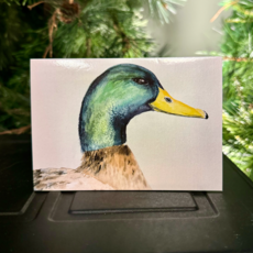 Amy Beidleman I am a Lucky Duck to Have You as a Friend