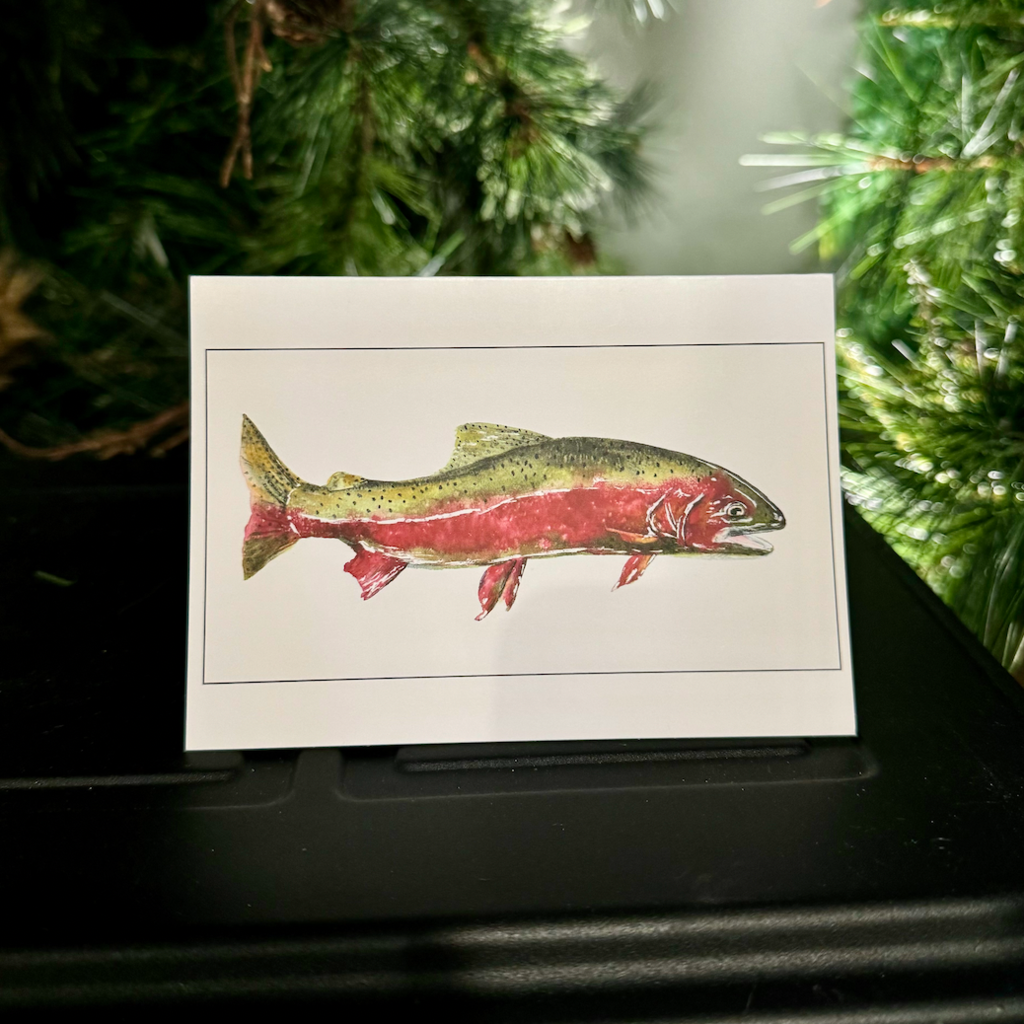 Amy Beidleman Rainbow Trout Greeting Card