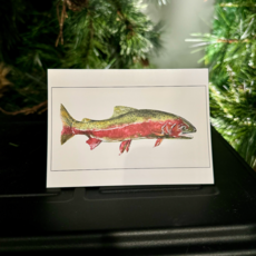 Amy Beidleman Rainbow Trout Greeting Card