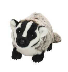 Barry Badger