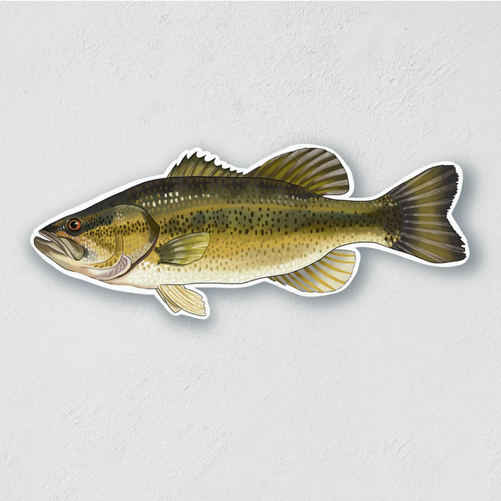 Little Rock Designs Sticker - 3" Largemouth Bass