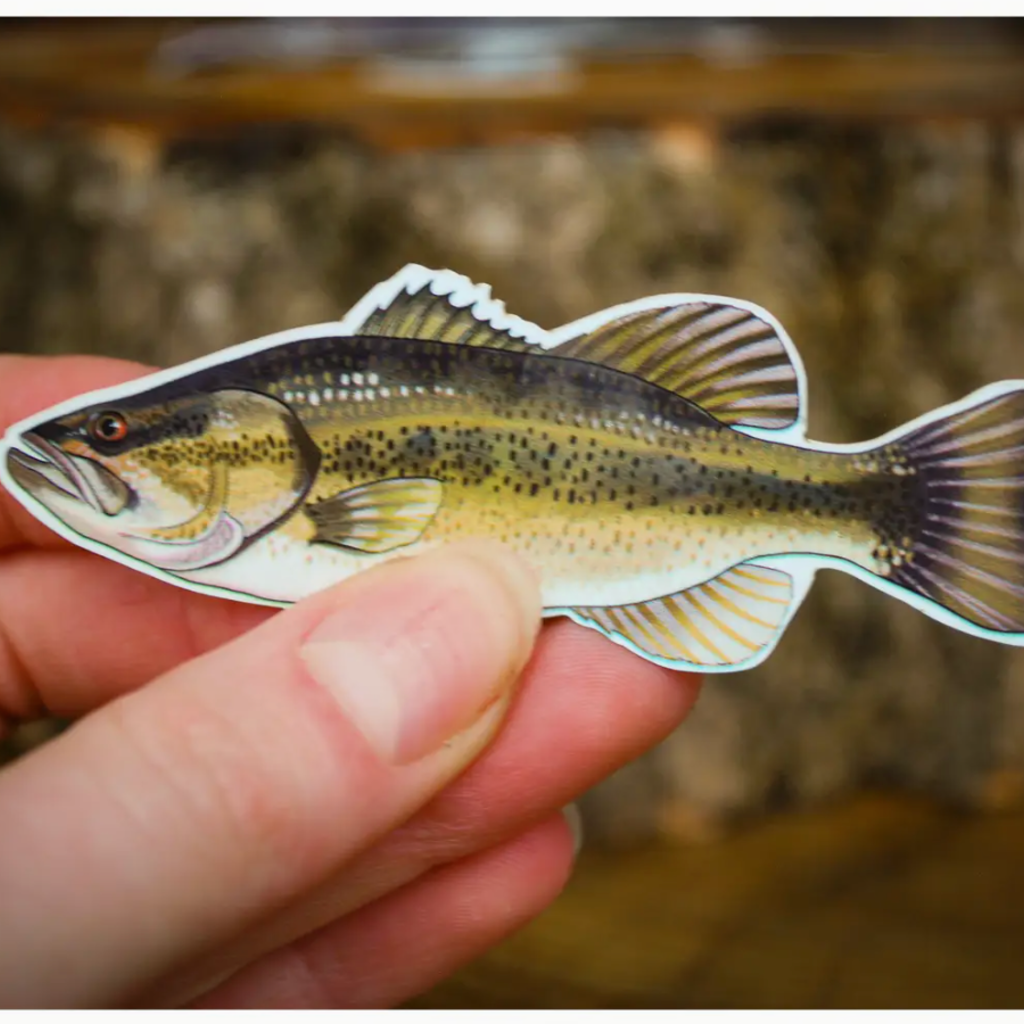 Little Rock Designs Sticker - 3" Largemouth Bass